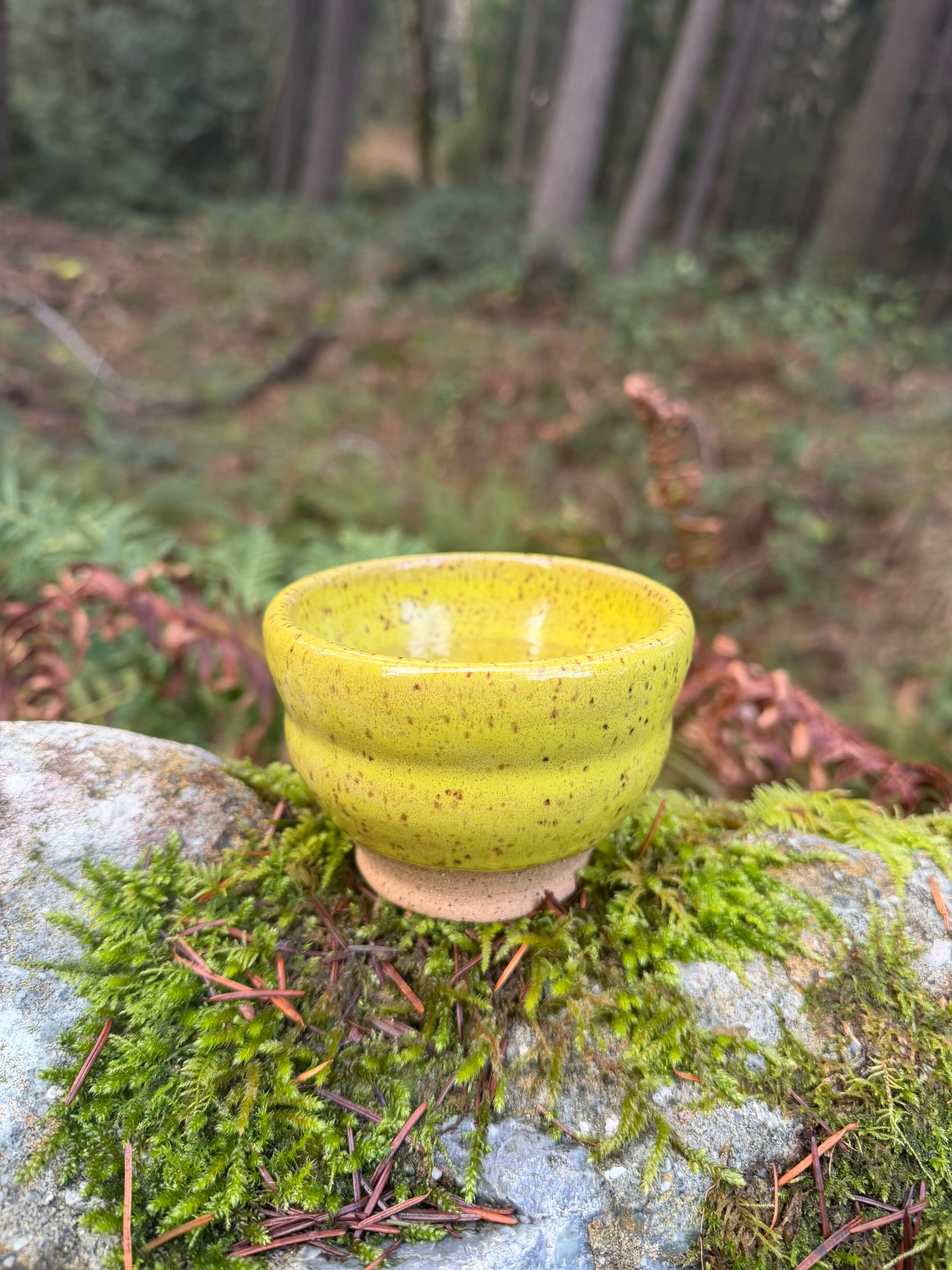 Moss ridge dish